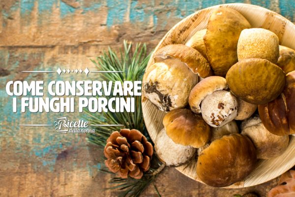 Come conservare i funghi porcini