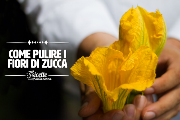 Come pulire i fiori di zucca