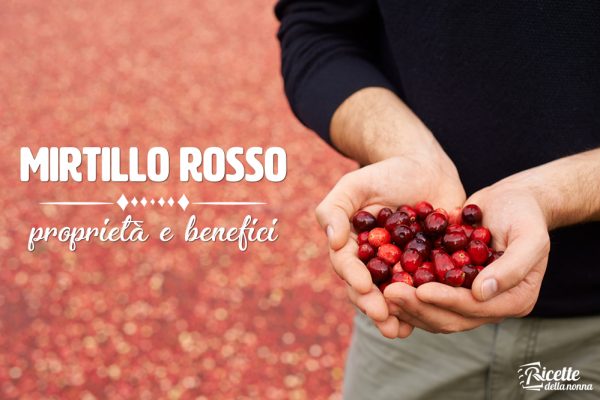 Mirtillo rosso: proprietà, benefici e controindicazioni