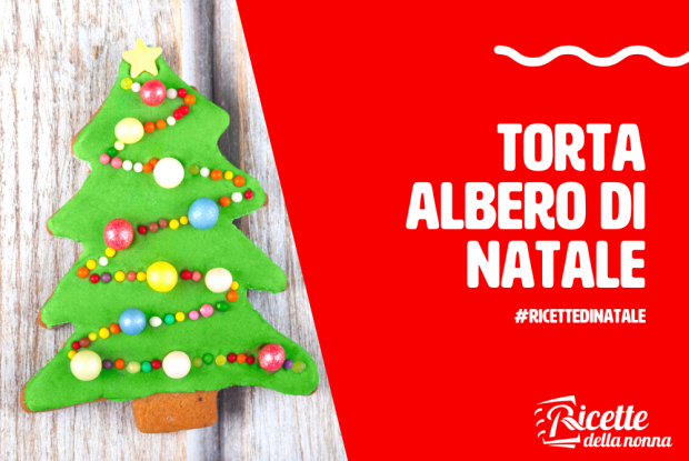 Torta Albero Di Natale 3d.Torta Albero Di Natale Ricetta Facile E Veloce Ricette Della Nonna