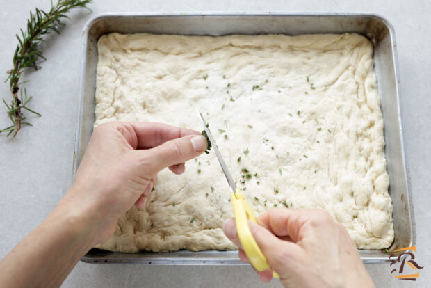 Preparazione focaccia al rosmarino