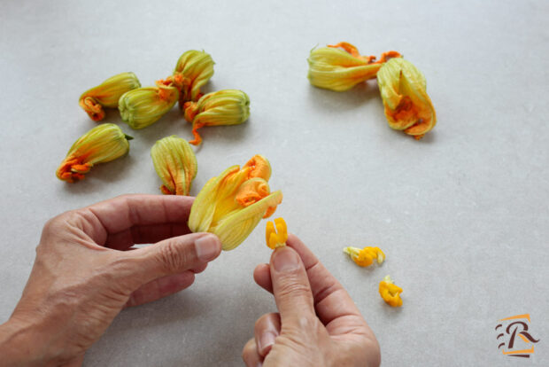 Come fare le frittelle di fiori di zucca