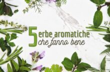 Le 5 erbe aromatiche che fanno bene al corpo e alla mente