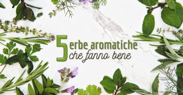 5 erbe aromatiche che fanno bene al corpo e alla mente