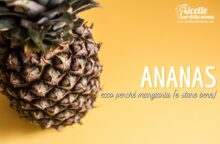 La migliore amica della tua estate in tavola è la ‘pigna delle Indie’ scoperta da Colombo