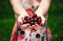 Tentazioni rosse, 8 ricette originali per amare le ciliegie in ogni modo