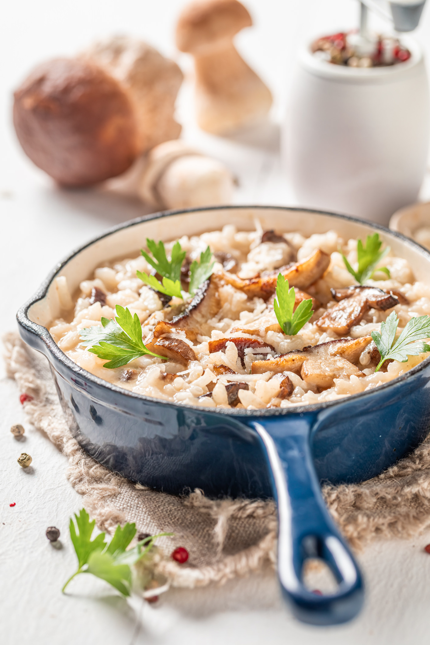 Risotto al sugo di funghi