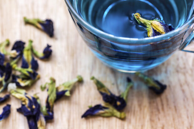 Butterfly Pea Flower Tea