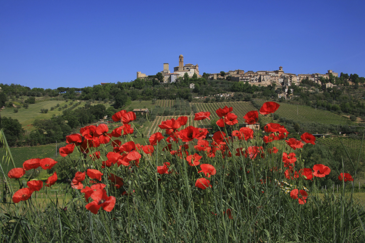 Campofilone