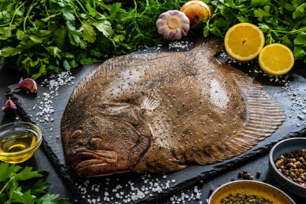 Losanghe di rombo panato con crema di verdure