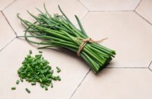 Erba cipollina: proprietà, benefici e controindicazioni