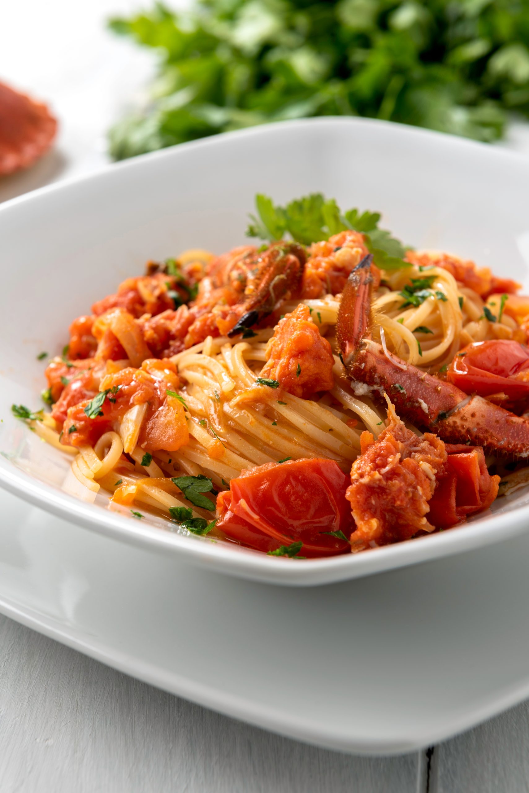 Maccheroni al ragù di scampi