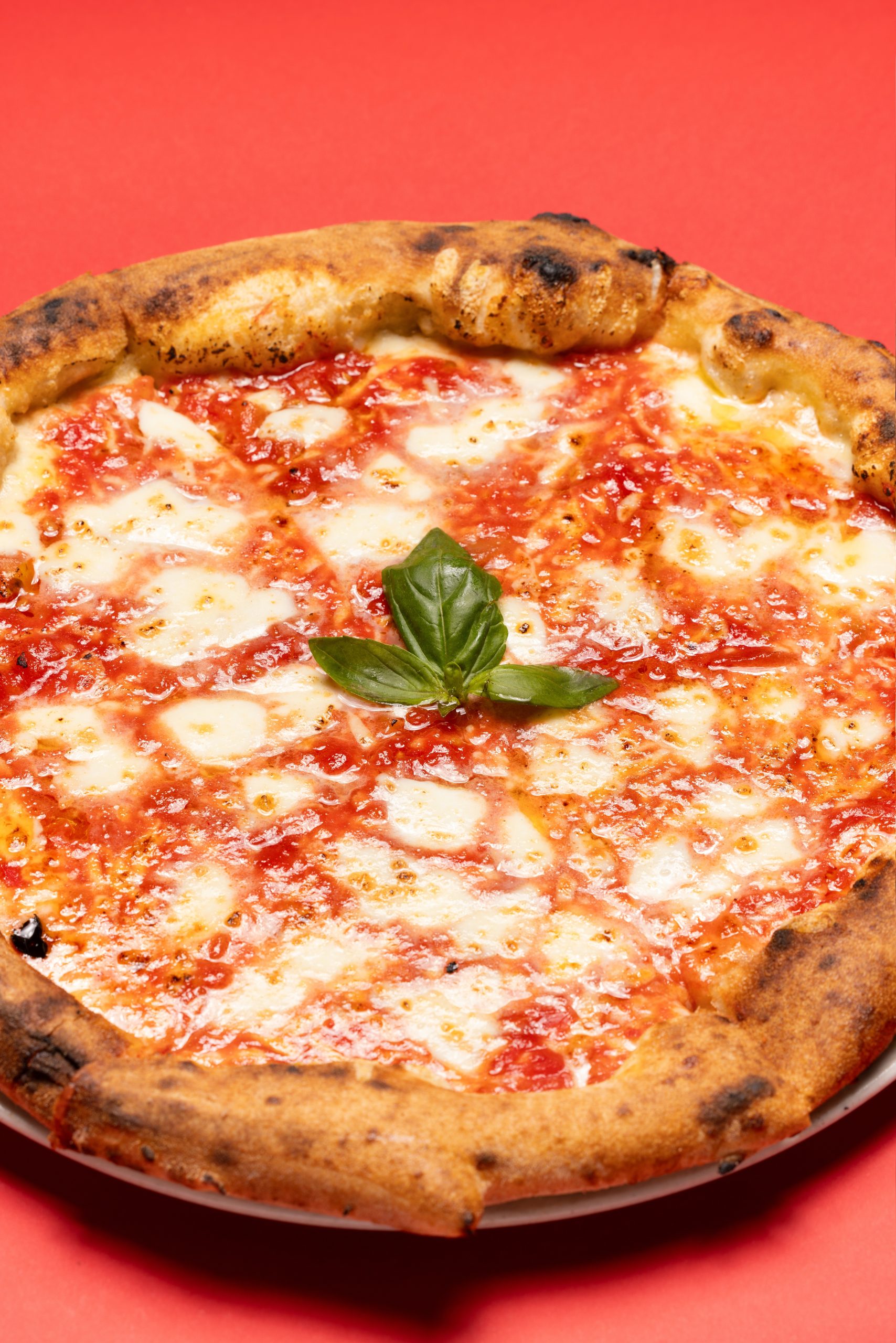 pizza margherita fatta in casa